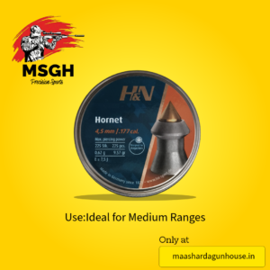 H&N Hornet